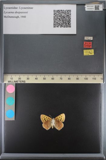 Media type: image;   Entomology 26874